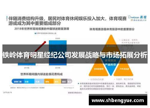 铁岭体育明星经纪公司发展战略与市场拓展分析